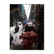 Palermo by horsedrawn carriage